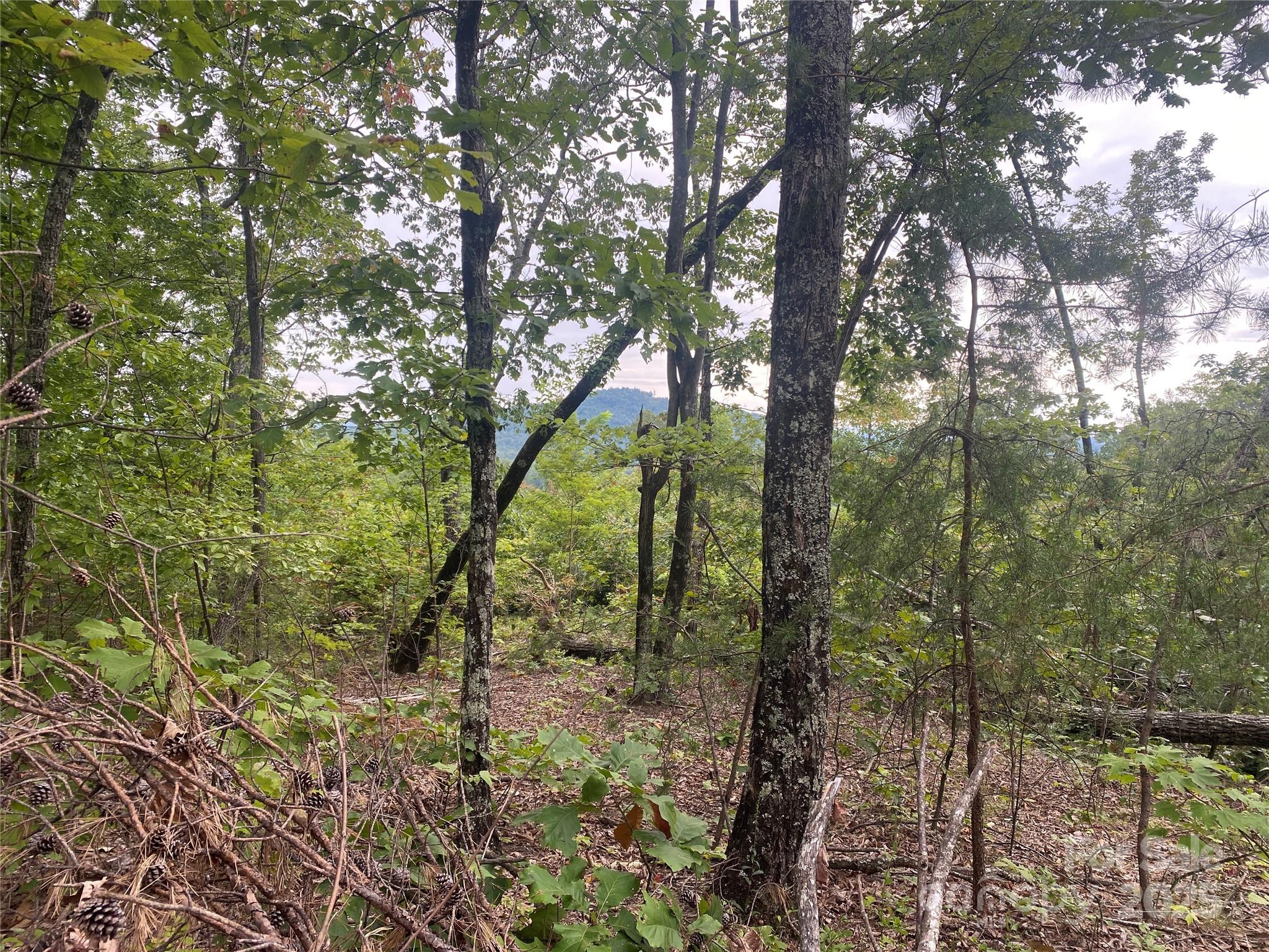 00 Springvalley Drive Union Mills NC 28167