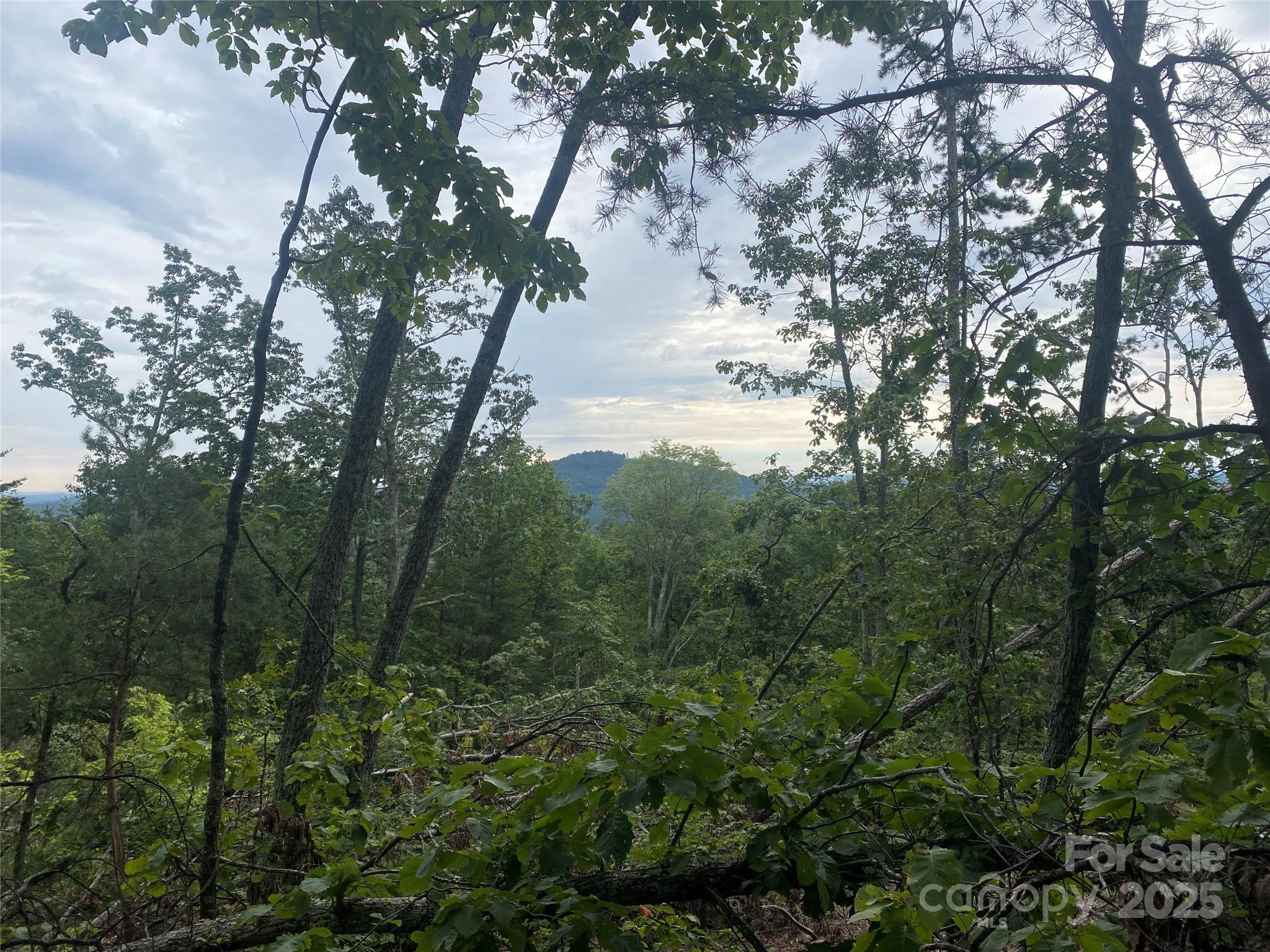 00 Springvalley Drive Union Mills NC 28167