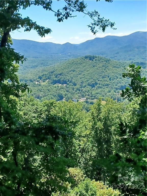 99999 Southcliff Parkway Fairview NC 28730