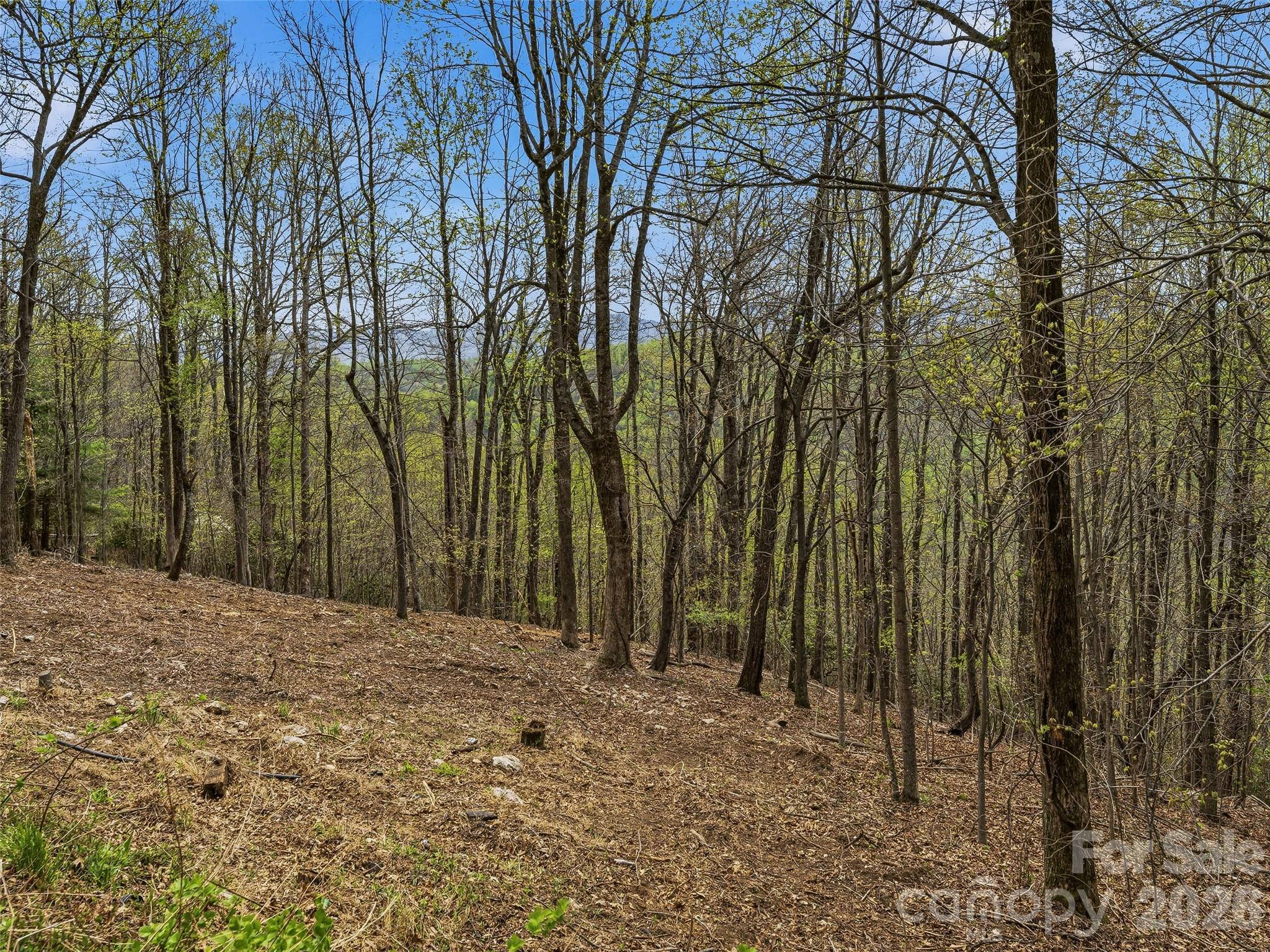 4164 Laurel Park Highway Hendersonville NC 28739