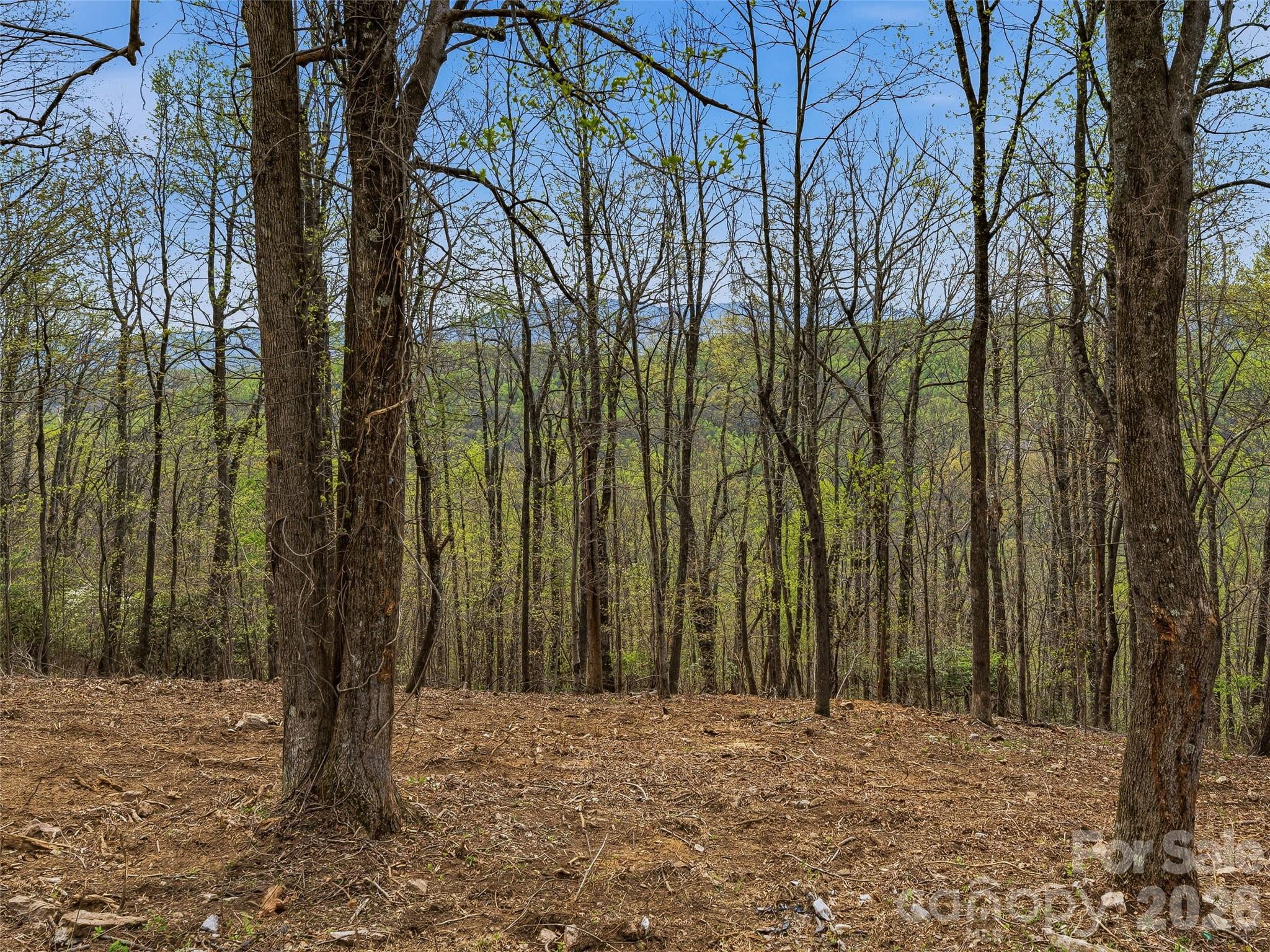 4164 Laurel Park Highway Hendersonville NC 28739