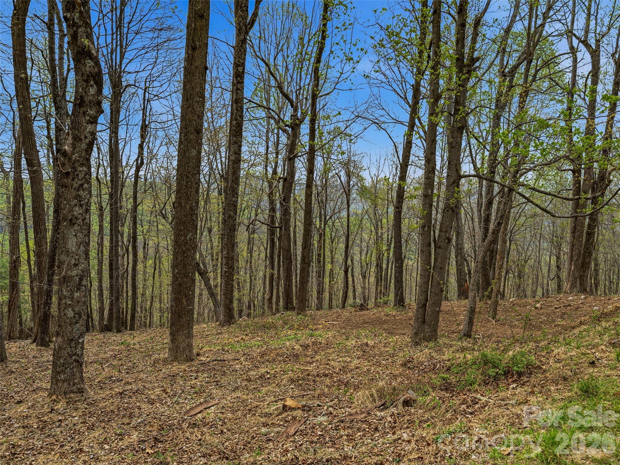 4164 Laurel Park Highway Hendersonville NC 28739