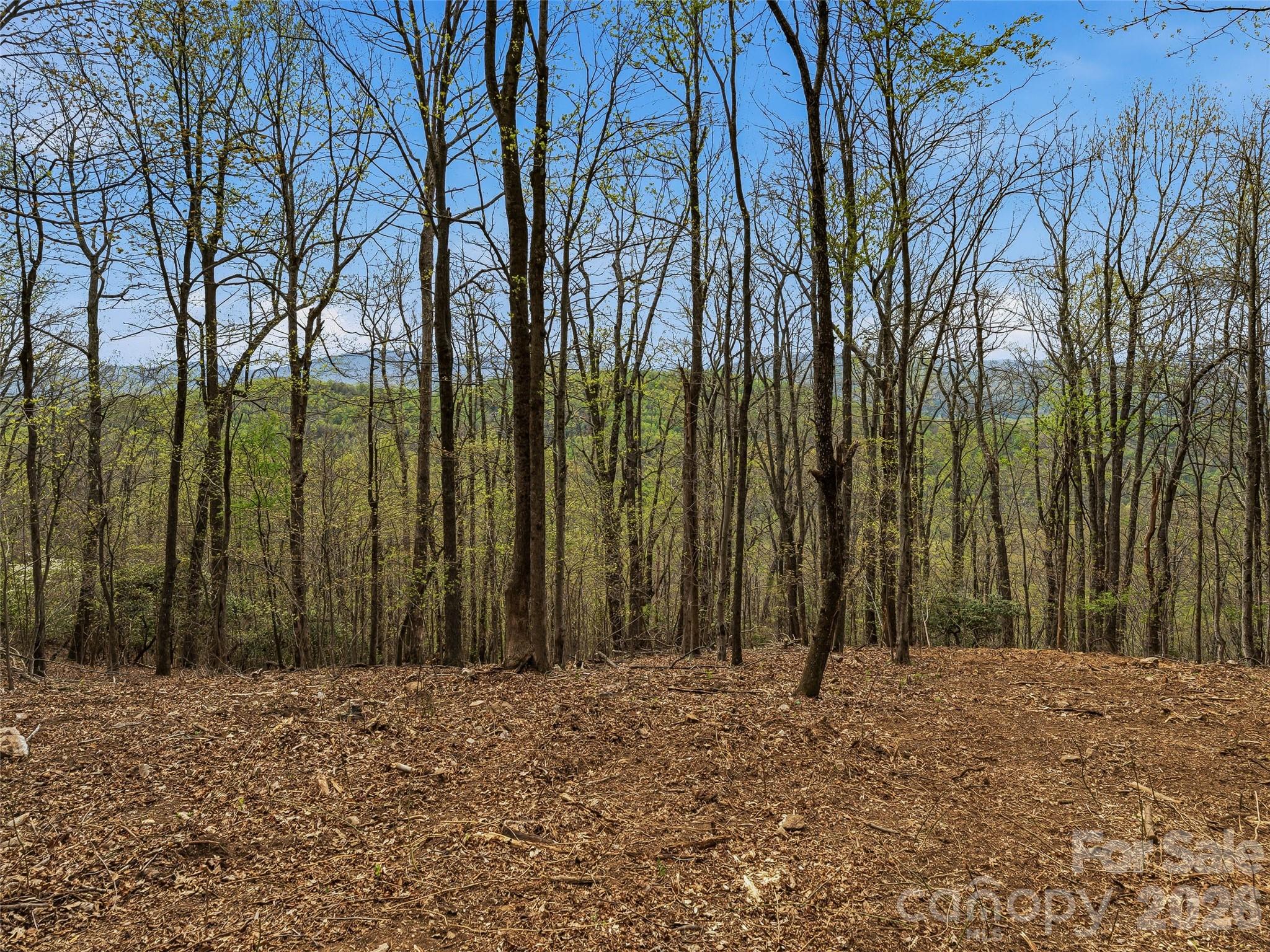 4164 Laurel Park Highway Hendersonville NC 28739