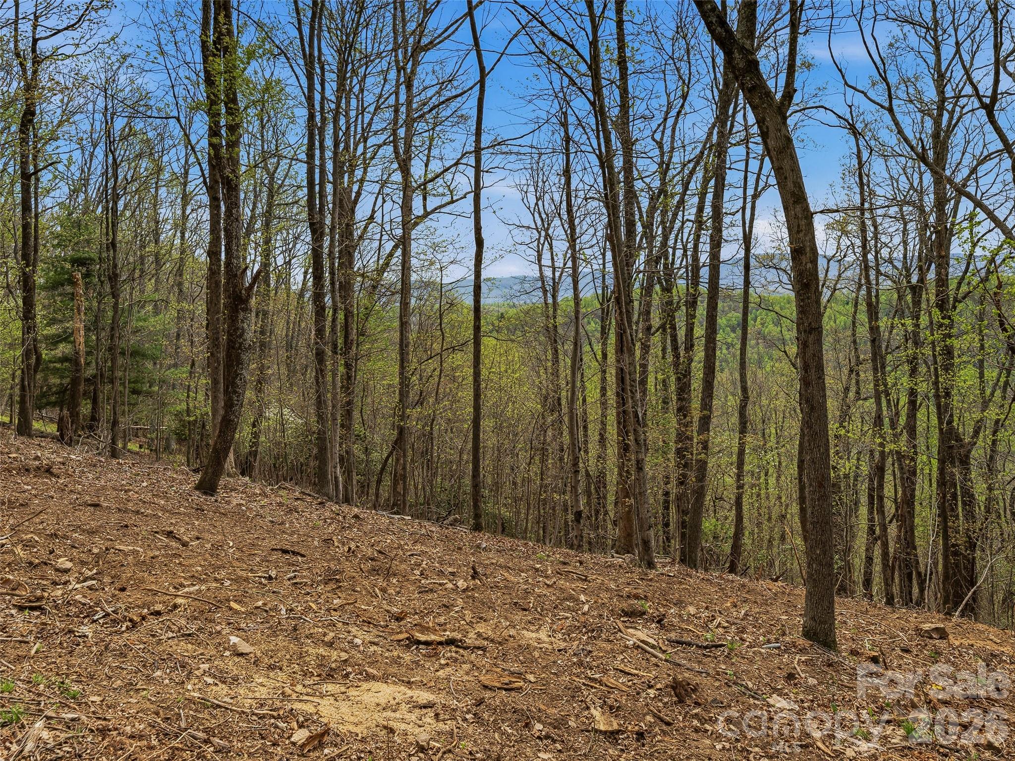 4164 Laurel Park Highway Hendersonville NC 28739
