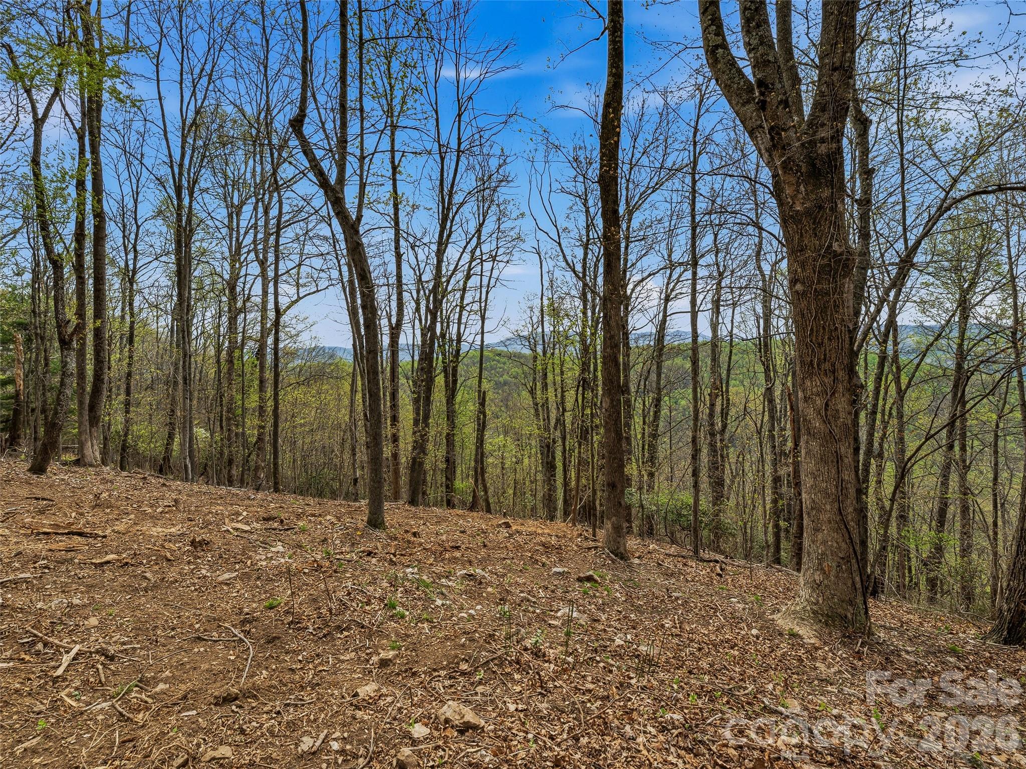 4164 Laurel Park Highway Hendersonville NC 28739
