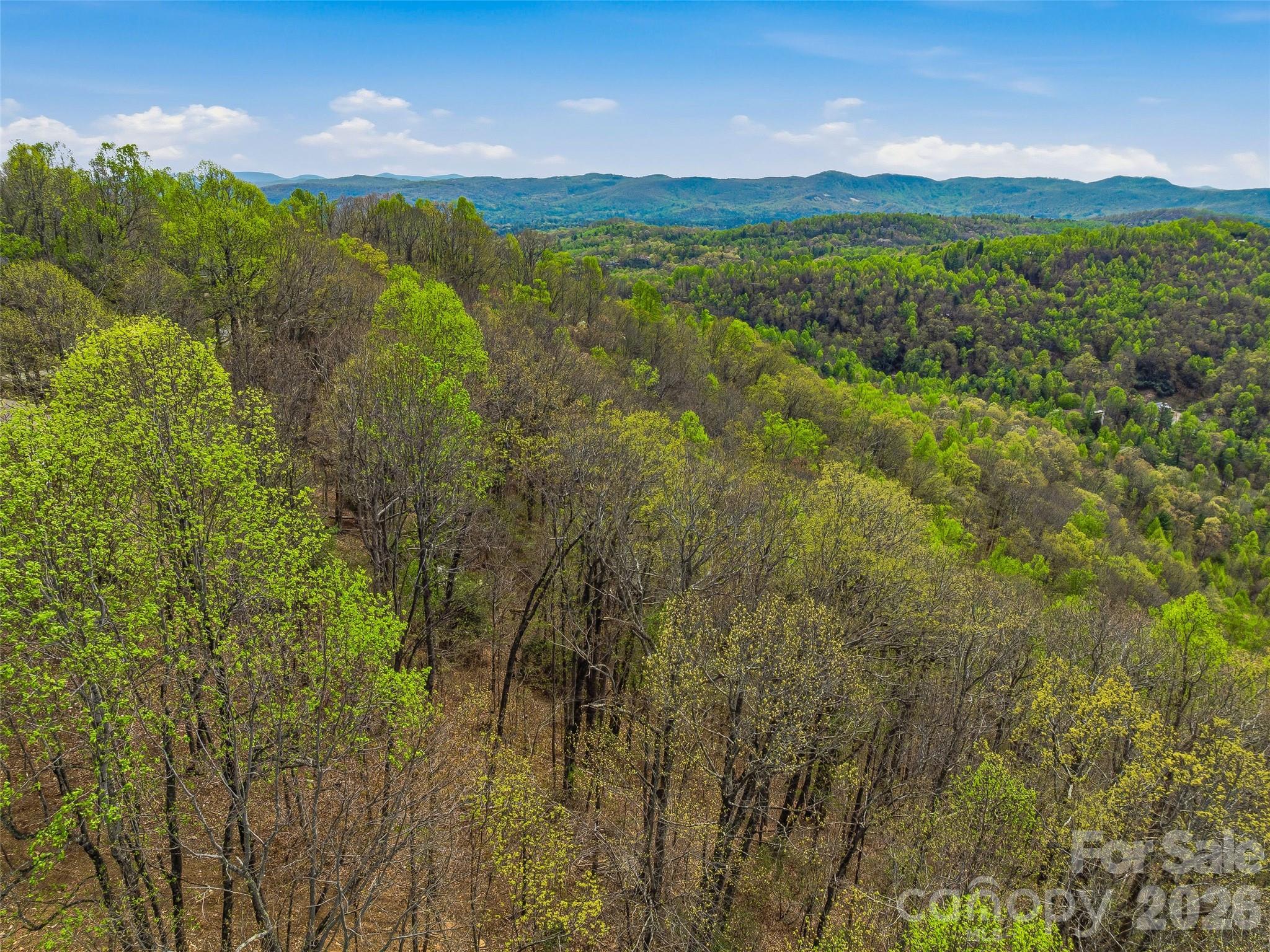 4164 Laurel Park Highway Hendersonville NC 28739