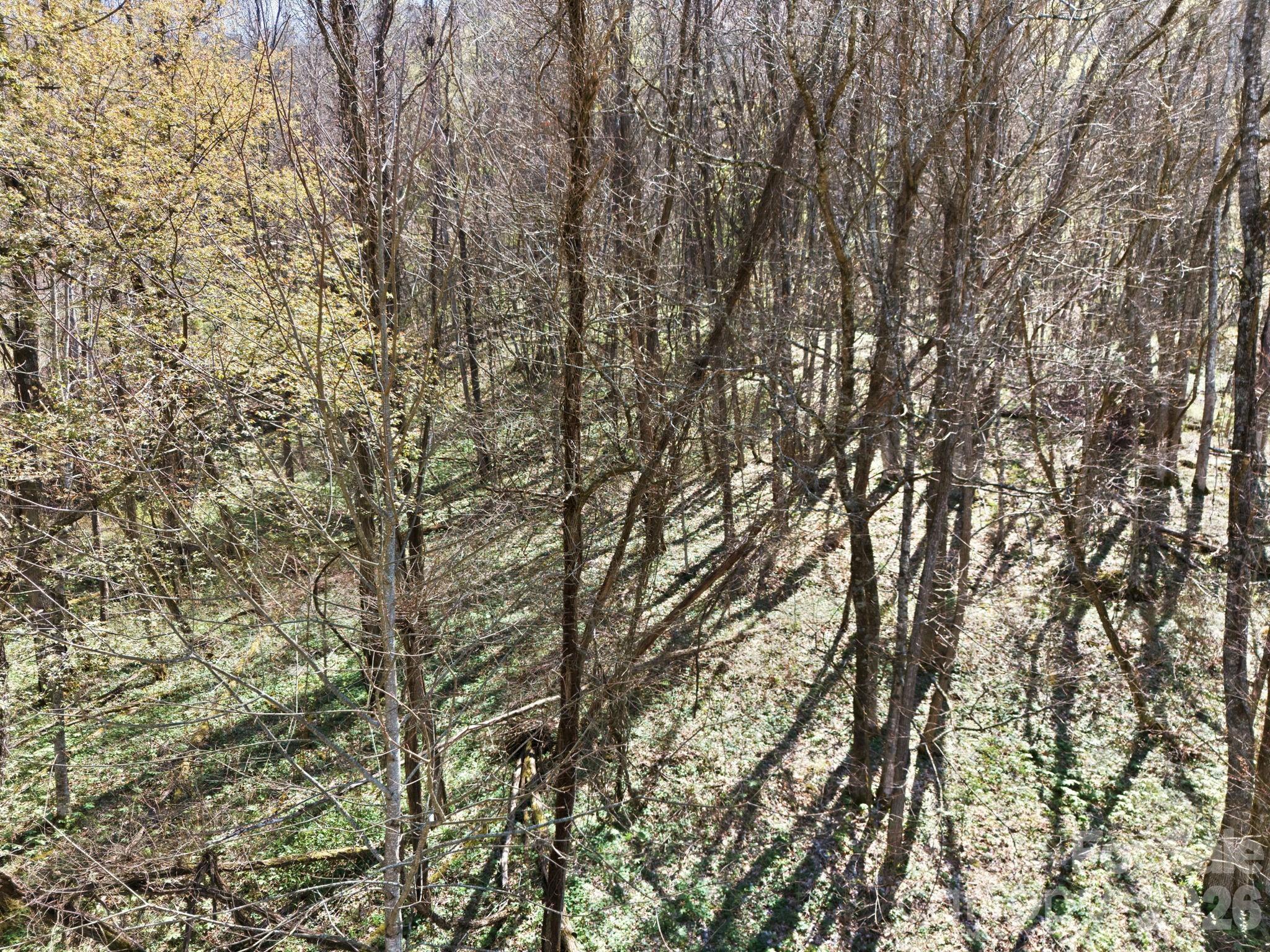 210 Apple Creek Road Waynesville NC 28786