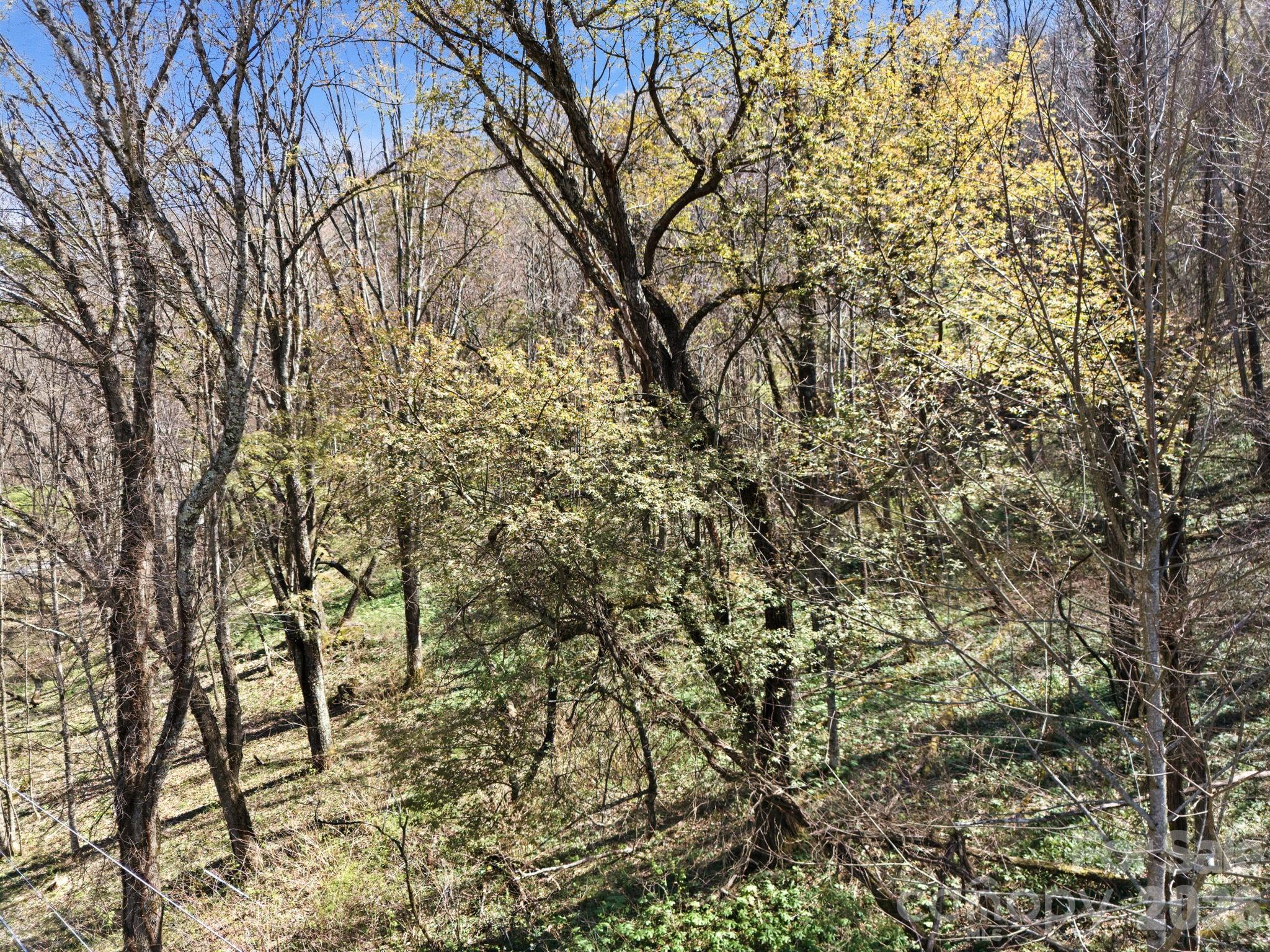 210 Apple Creek Road Waynesville NC 28786