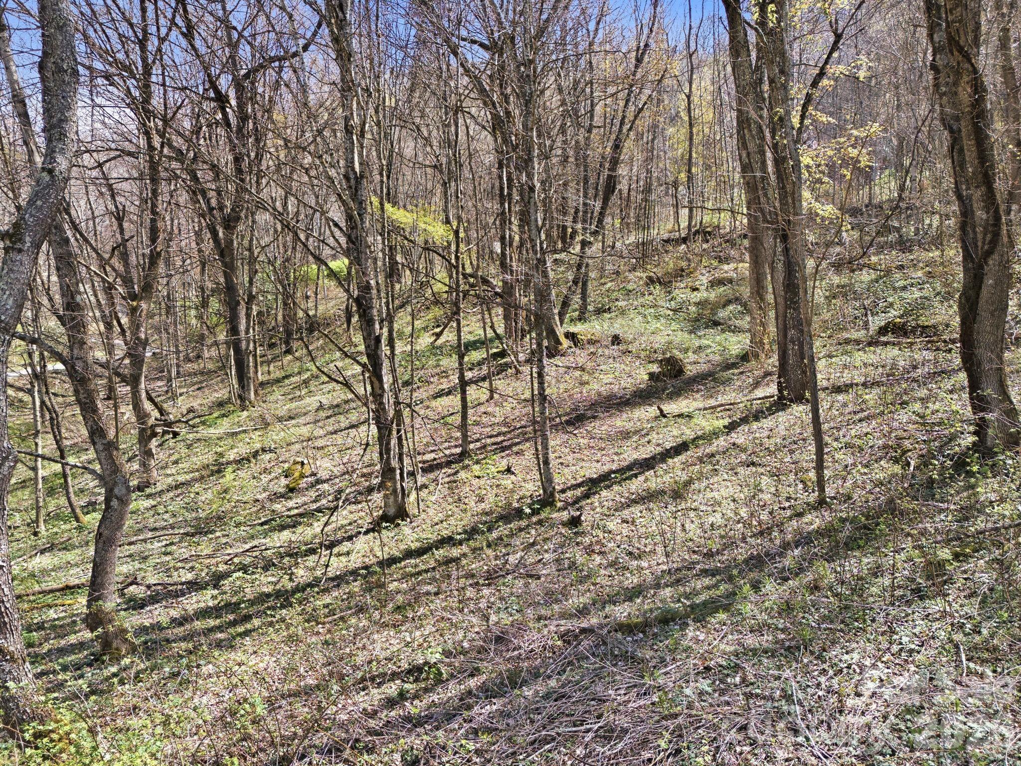 210 Apple Creek Road Waynesville NC 28786