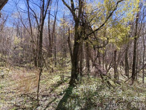 210 Apple Creek Road Waynesville NC 28786