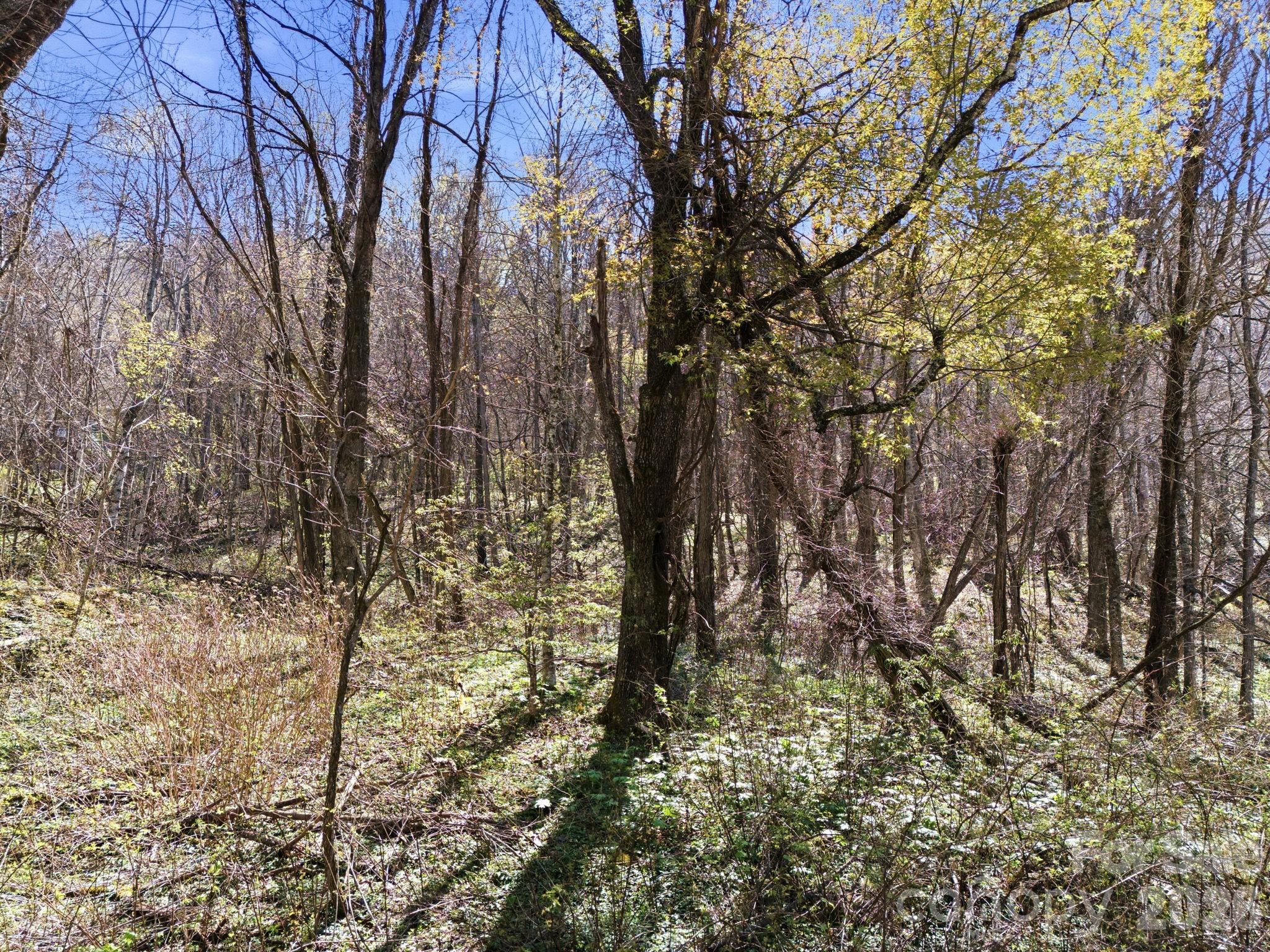 210 Apple Creek Road Waynesville NC 28786