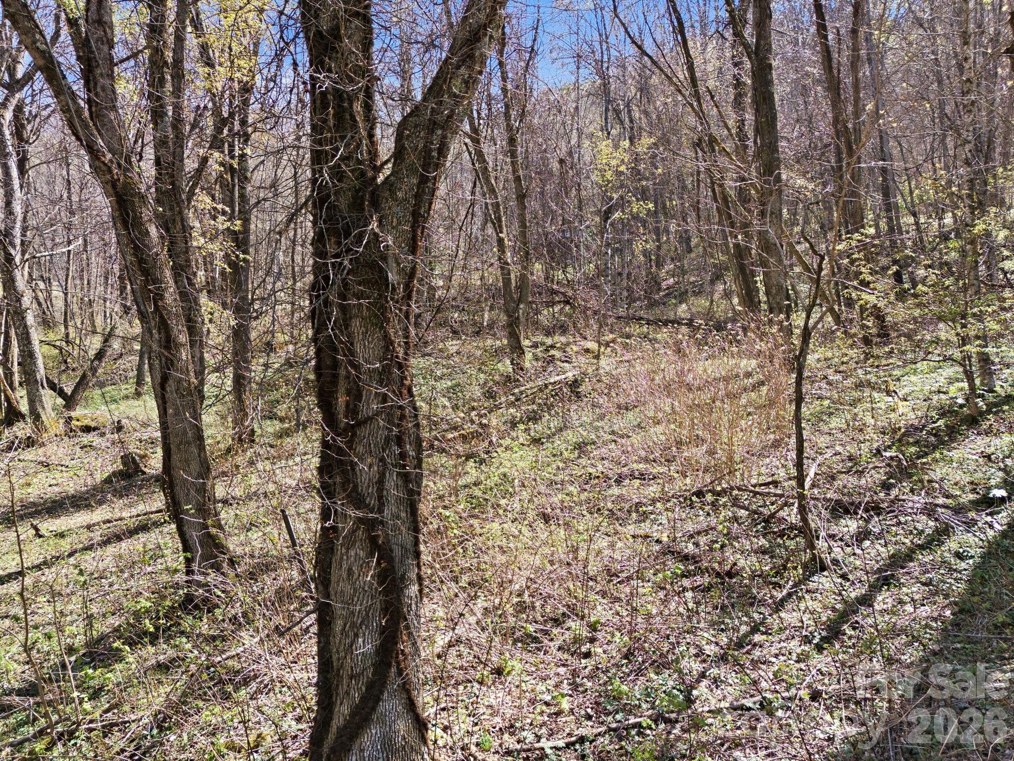 210 Apple Creek Road Waynesville NC 28786