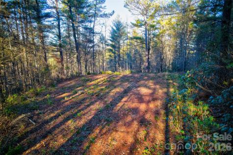 00 Piney Cove Road Bryson City NC 28713
