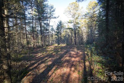 00 Piney Cove Road Bryson City NC 28713