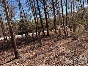 0000 Elliot Lane Rutherfordton NC 28139