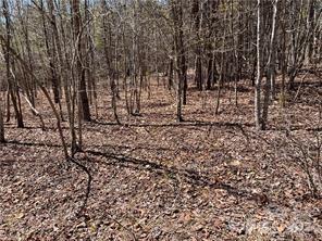 0000 Elliot Lane Rutherfordton NC 28139