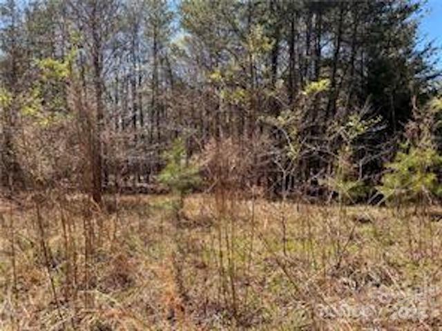 0000 Elliot Lane Rutherfordton NC 28139