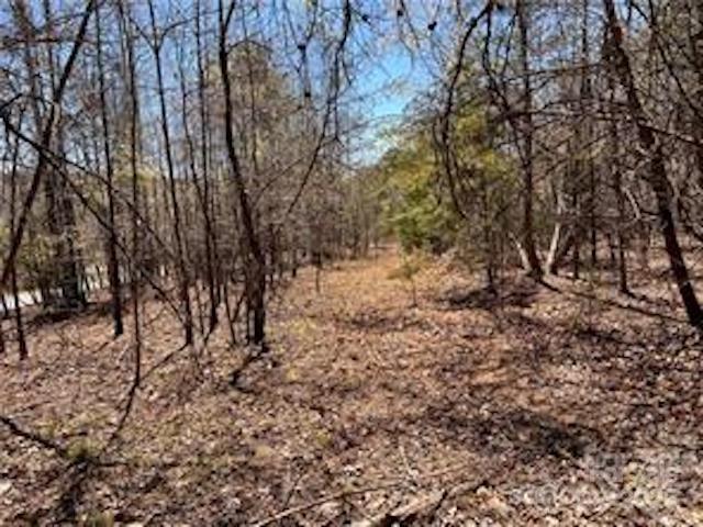 0000 Elliot Lane Rutherfordton NC 28139