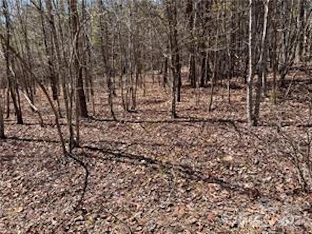0000 Elliot Lane Rutherfordton NC 28139