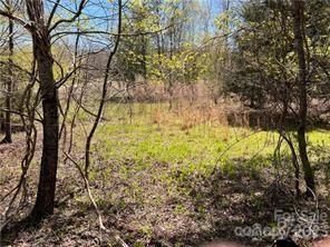 0000 Elliot Lane Rutherfordton NC 28139