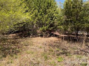 0000 Elliot Lane Rutherfordton NC 28139