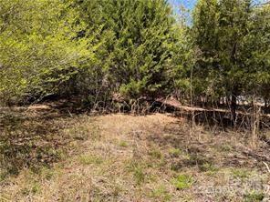 0000 Elliot Lane Rutherfordton NC 28139