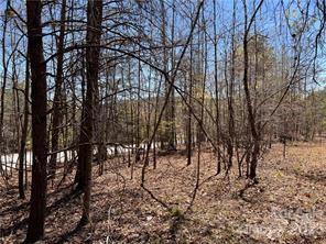 0000 Elliot Lane Rutherfordton NC 28139