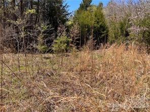 0000 Elliot Lane Rutherfordton NC 28139
