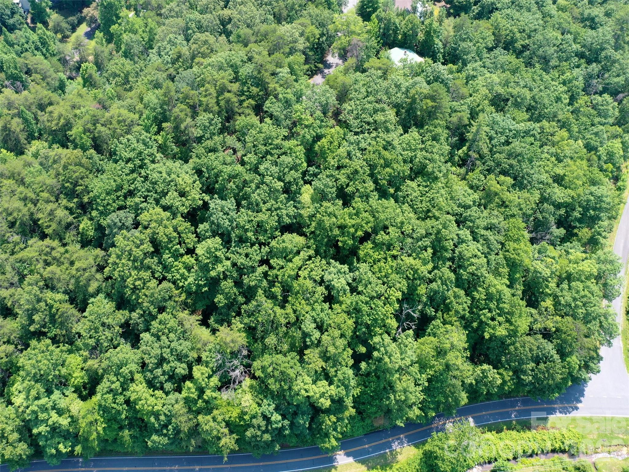 0 Buffalo Creek Road Lake Lure NC 28746