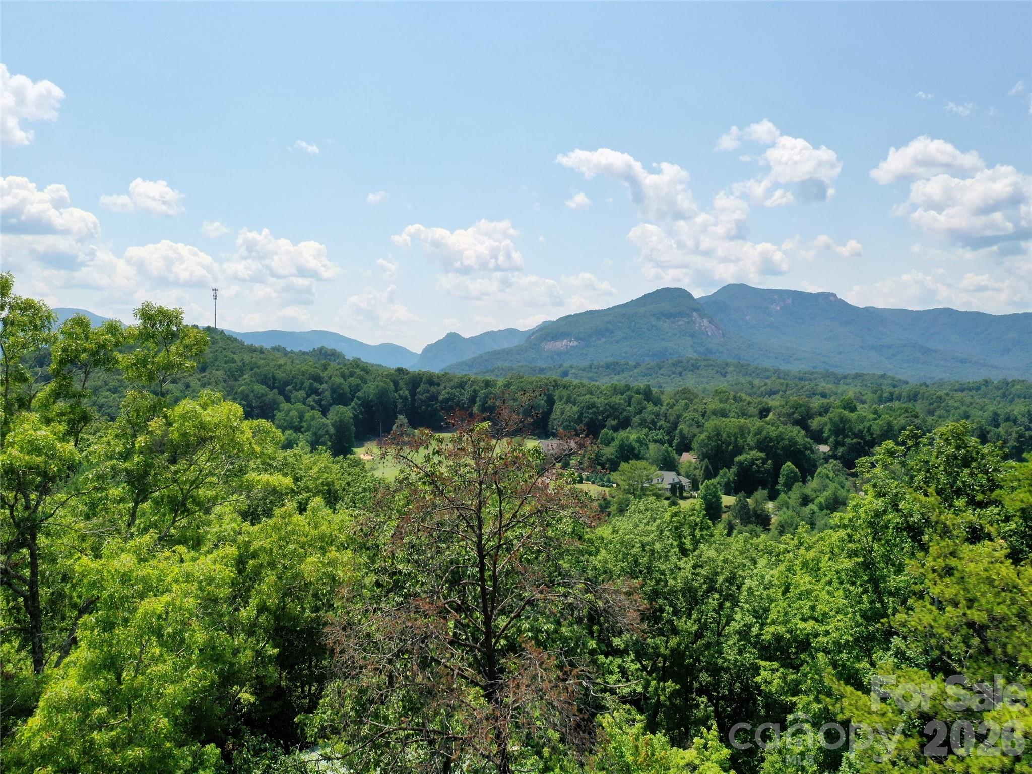 0 Buffalo Creek Road Lake Lure NC 28746