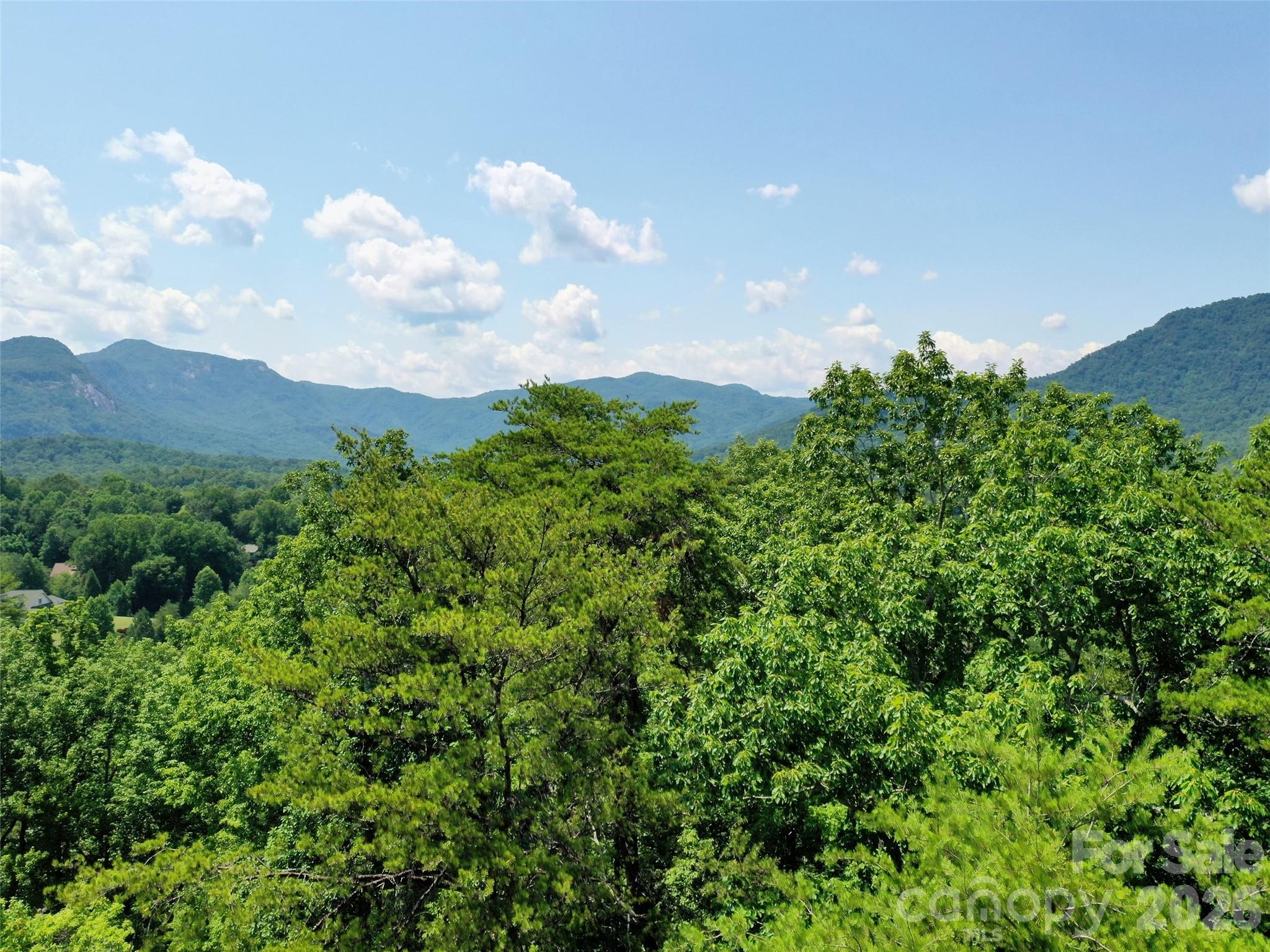 0 Buffalo Creek Road Lake Lure NC 28746