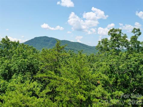 0 Buffalo Creek Road Lake Lure NC 28746