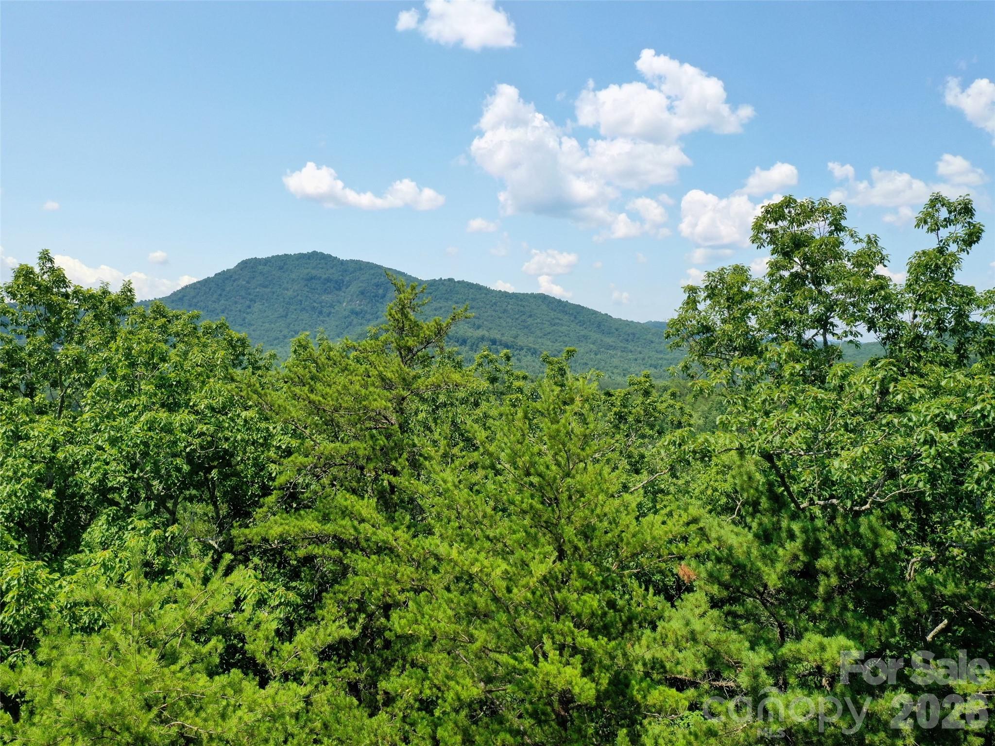 0 Buffalo Creek Road Lake Lure NC 28746