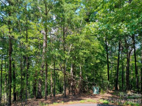 0 Buffalo Creek Road Lake Lure NC 28746