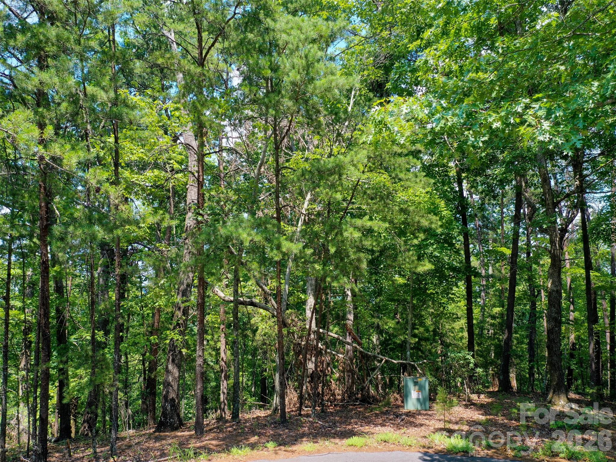 0 Buffalo Creek Road Lake Lure NC 28746