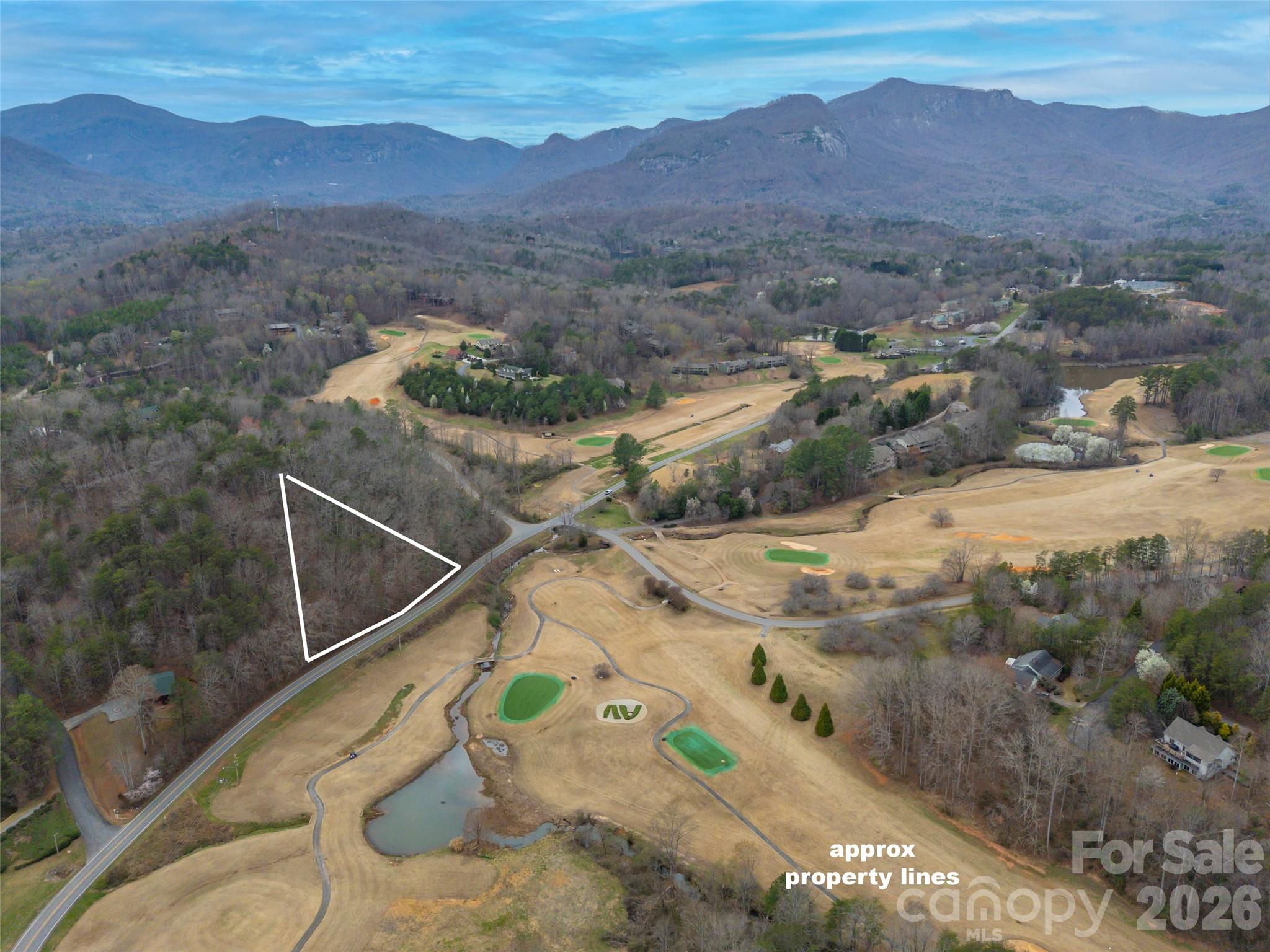 0 Buffalo Creek Road Lake Lure NC 28746