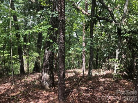 0 Buffalo Creek Road Lake Lure NC 28746