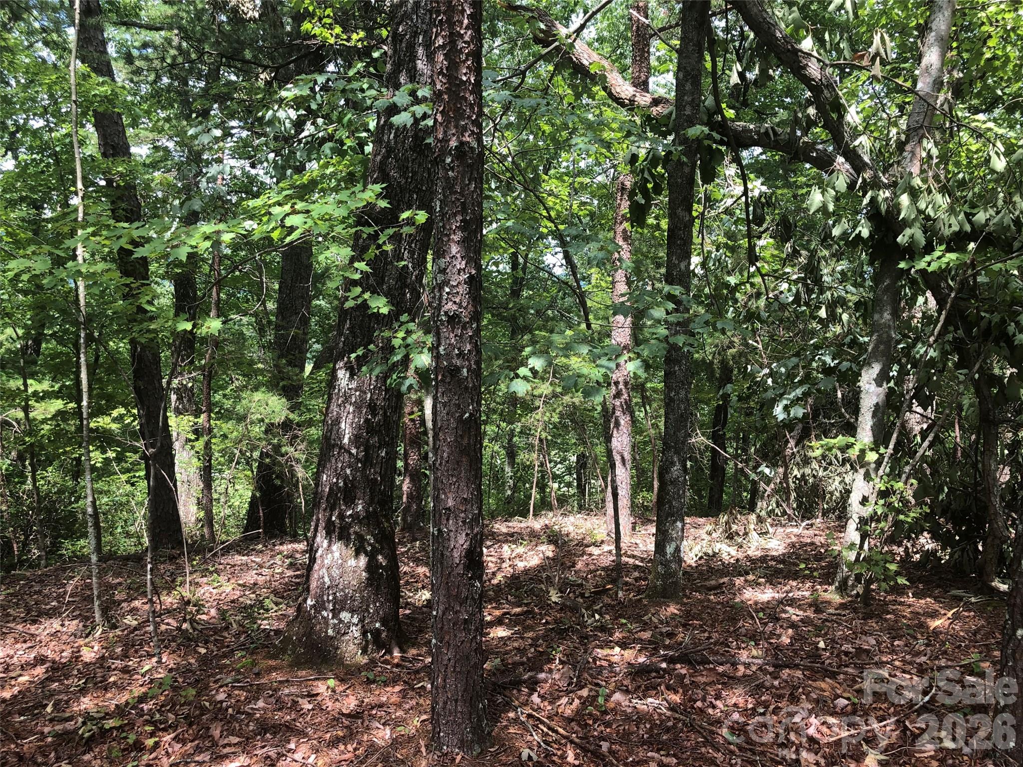 0 Buffalo Creek Road Lake Lure NC 28746