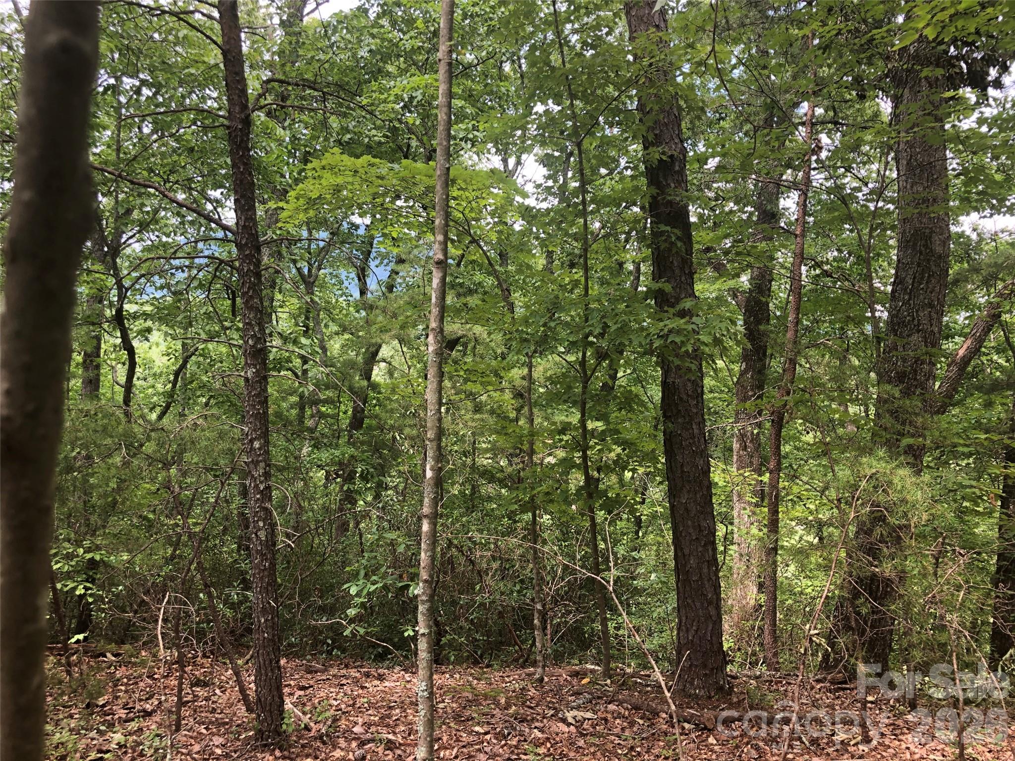 0 Buffalo Creek Road Lake Lure NC 28746