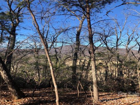 0 Buffalo Creek Road Lake Lure NC 28746