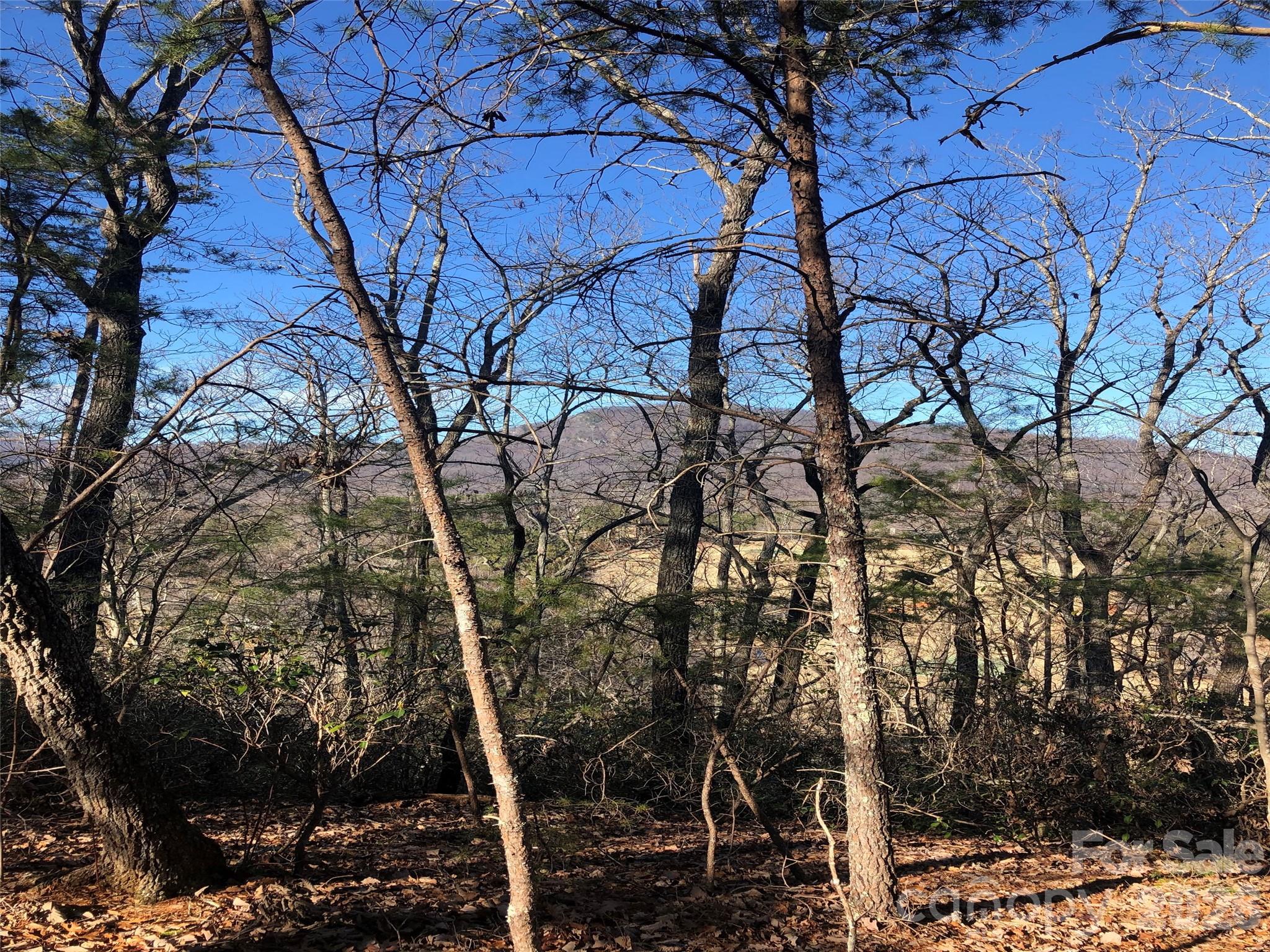 0 Buffalo Creek Road Lake Lure NC 28746