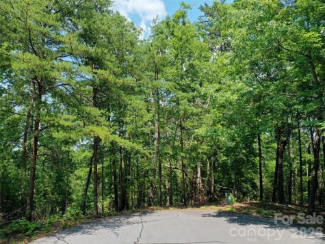 0 Buffalo Creek Road Lake Lure NC 28746