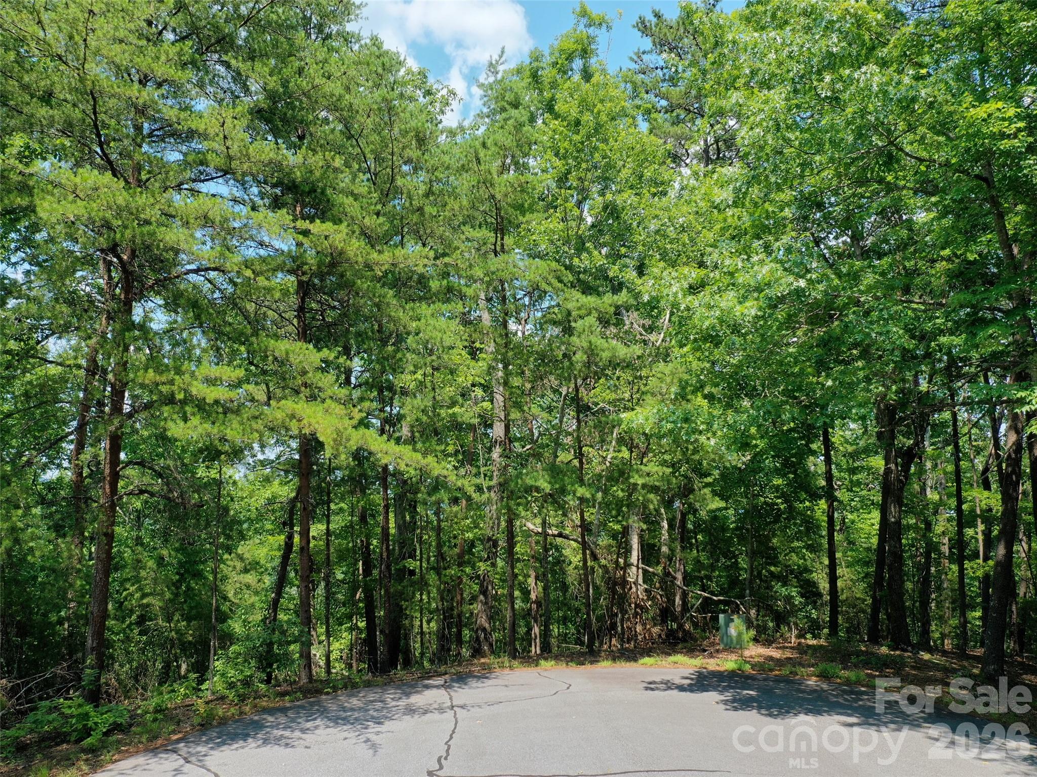 0 Buffalo Creek Road Lake Lure NC 28746