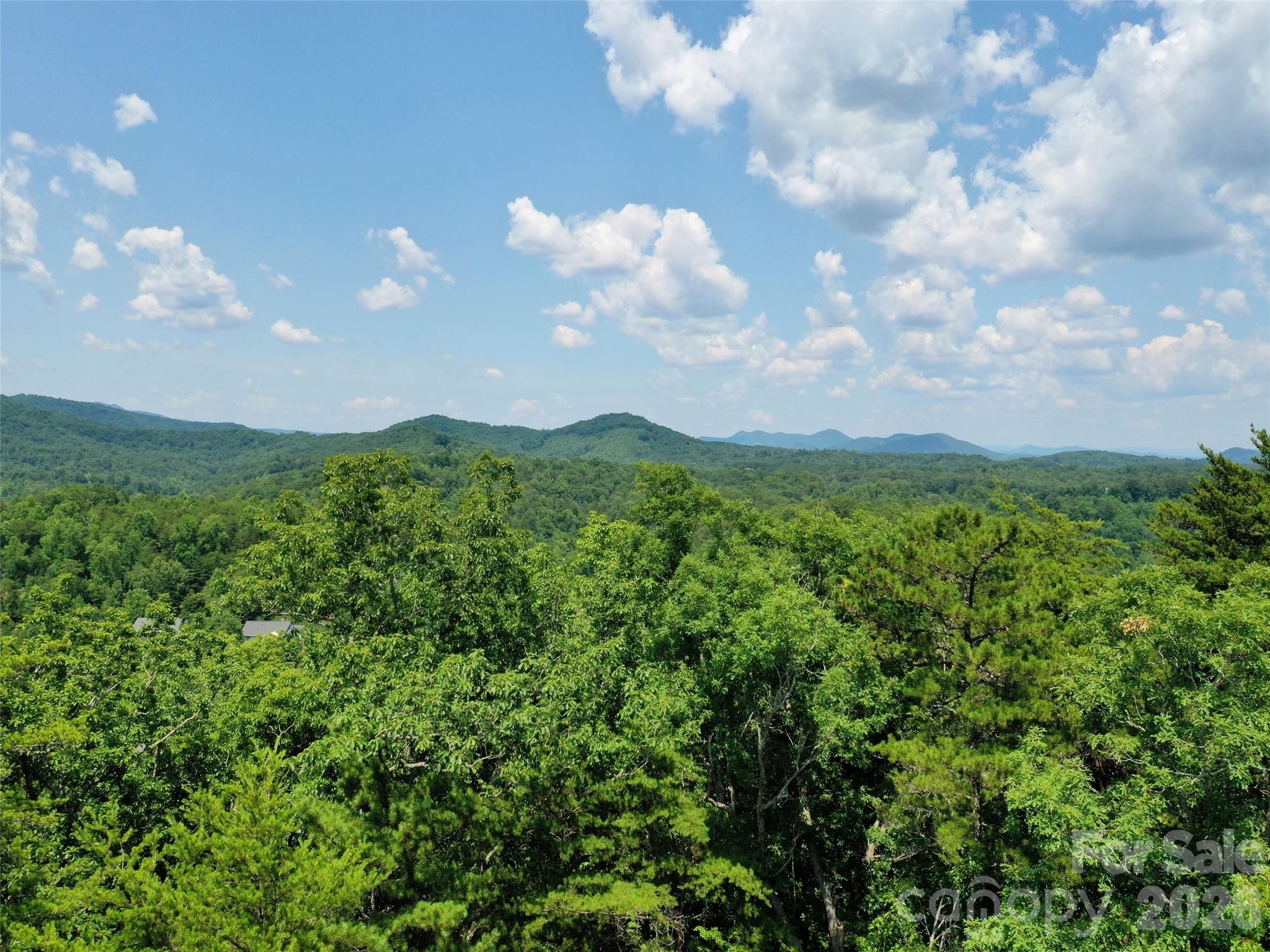 0 Buffalo Creek Road Lake Lure NC 28746