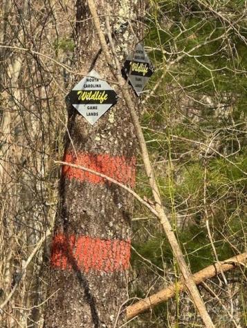 Tbd Sorrells Creek Road Canton NC 28716