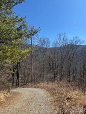Tbd Sorrells Creek Road Canton NC 28716