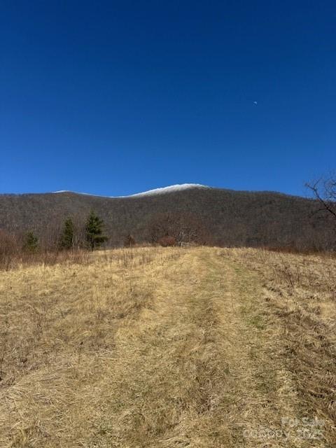 Tbd Sorrells Creek Road Canton NC 28716