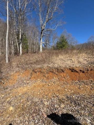 Tbd Sorrells Creek Road Canton NC 28716