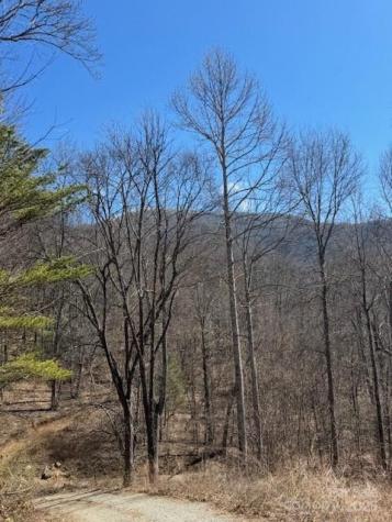 Tbd Sorrells Creek Road Canton NC 28716