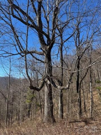 Tbd Sorrells Creek Road Canton NC 28716